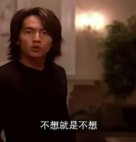 《流星花园》言承旭经典台词表情包合集