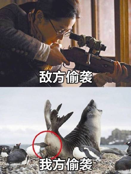 打游戏时的真实写照！敌方队友VS我方队友表情包合集