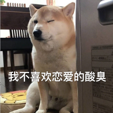单身狗配Doge的表情包合集来了