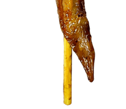 用翅尖拼出来的表情包火了