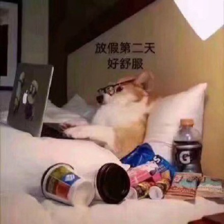 过年宅家的我，状态be like