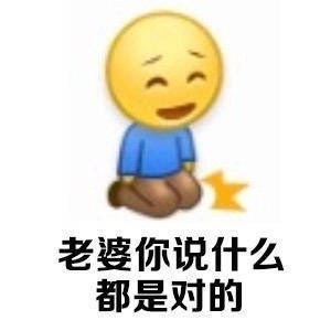 专为宠妻党准备的表情包合集