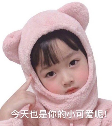 权律二表情包合集来啦