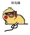 小黄鸡玩电脑的趣味动图来啦