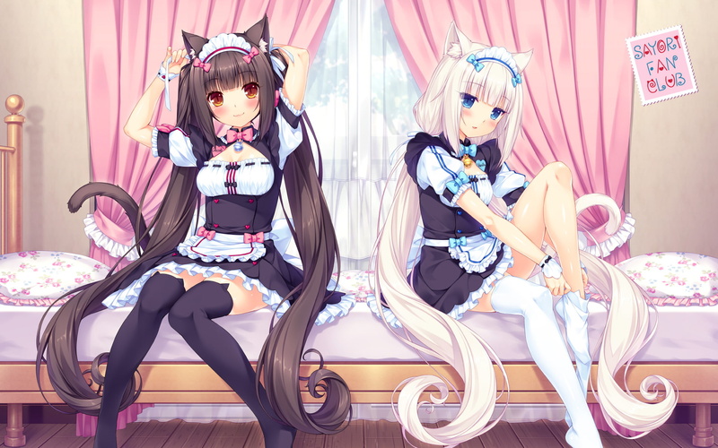 猫娘乐园巧克力与香草壁纸合集
