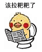 小鹦鹉便秘看报纸 这套表情包火了