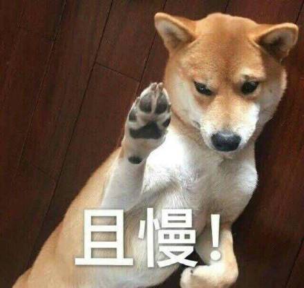 聊天斗图必备！这套可爱汪星人表情包太好用了