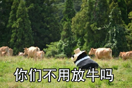 打工人专属吐槽表情包合集！你是不是也想问“你们不用干活吗？”