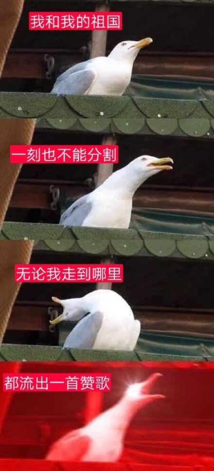 刷到就忍不住跟着哼！《我和我的祖国》表情包来啦