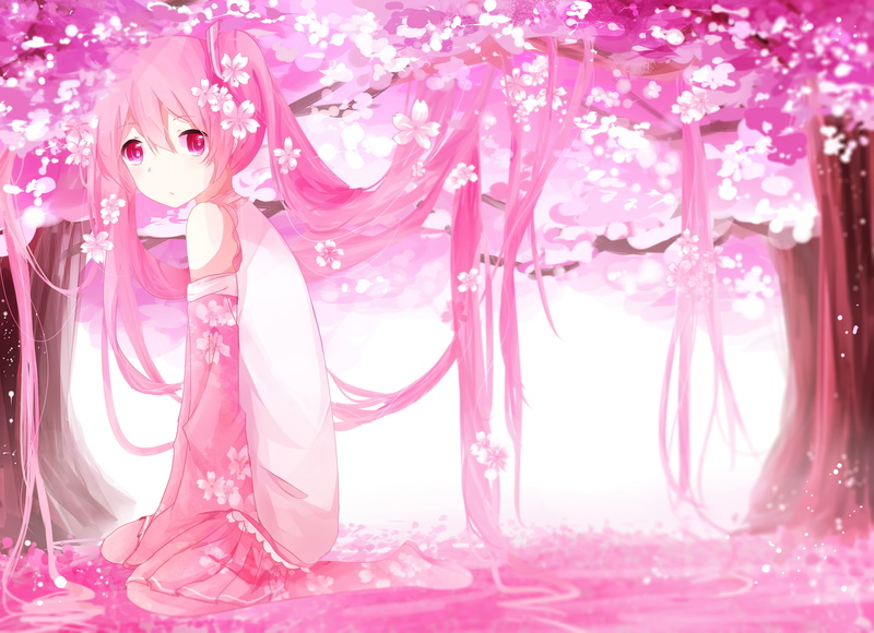 樱花树下的粉发初音未来壁纸