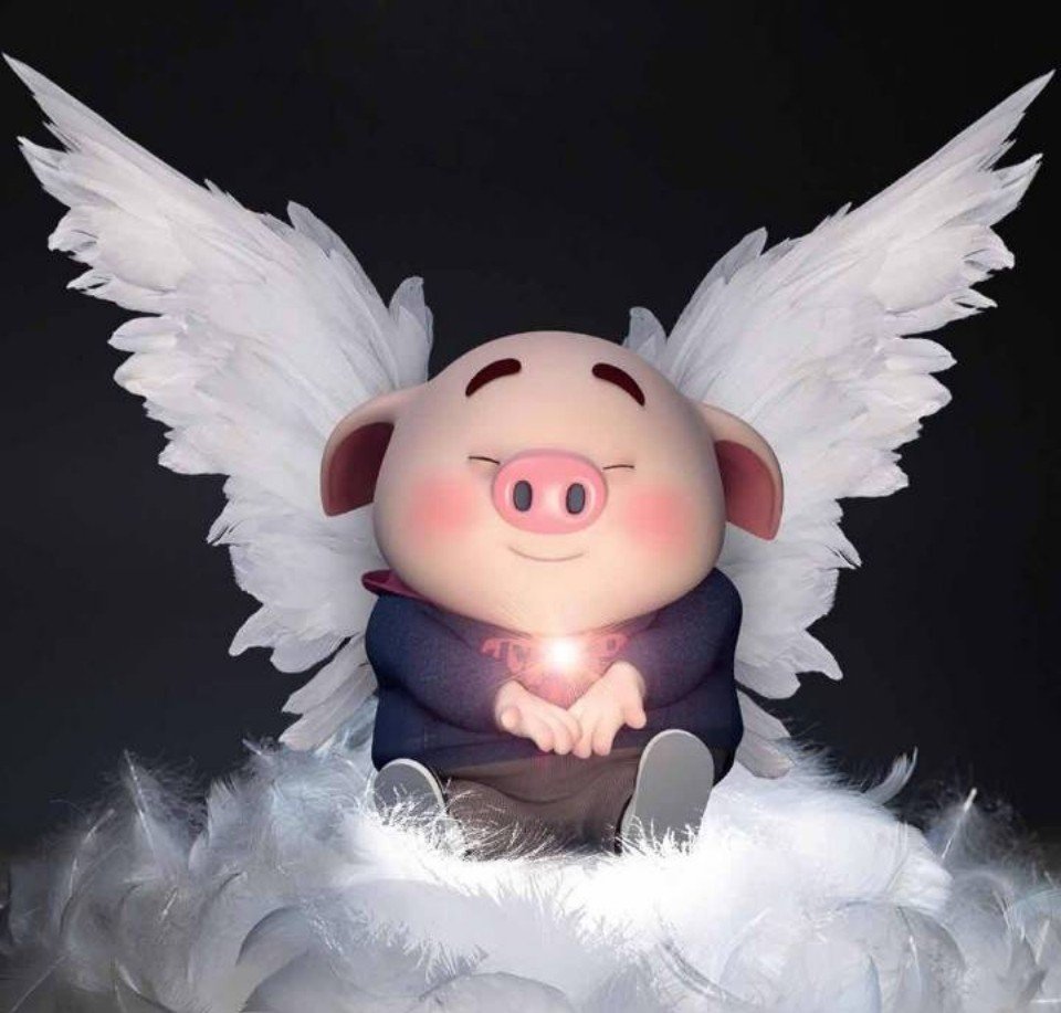 猪年换头像看这里！多款可爱猪猪头像合集