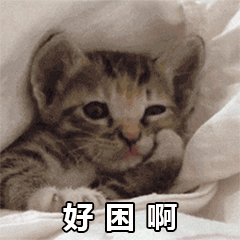 猫咪版晚安邀约表情包来啦