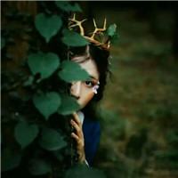 18张高清女生森系小清新头像 氛围感拉满的头像合集