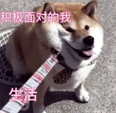 聊天斗图必备！这组猫咪狗子表情包太治愈了