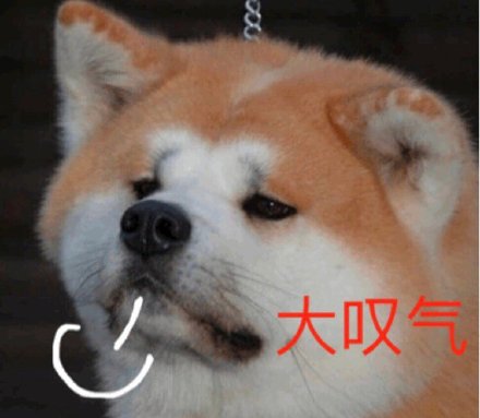 聊天斗图必备！这组猫咪狗子表情包太治愈了