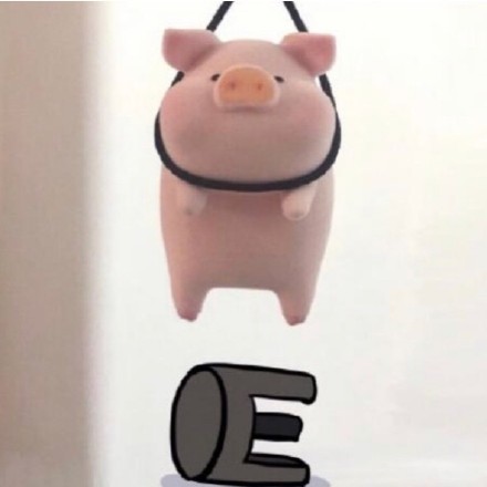 聊天斗图必备！猪猪表情包合集来啦