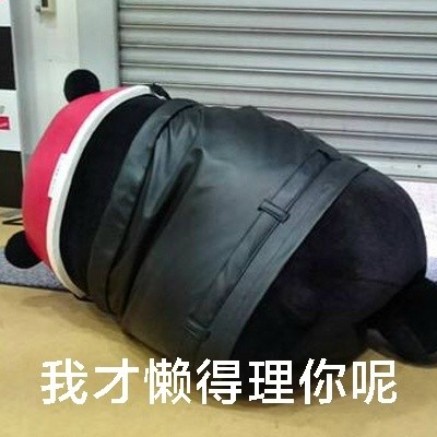 小仙女专属觉悟表情包来啦