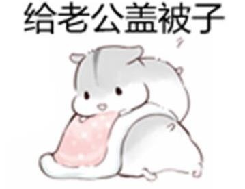 老婆撩老公专属表情包来啦
