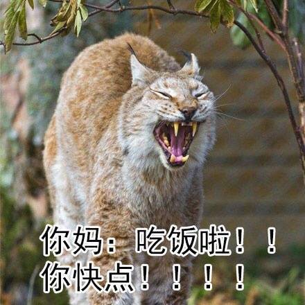 暑假在家的真实日常，这套表情包精准戳中你了吗