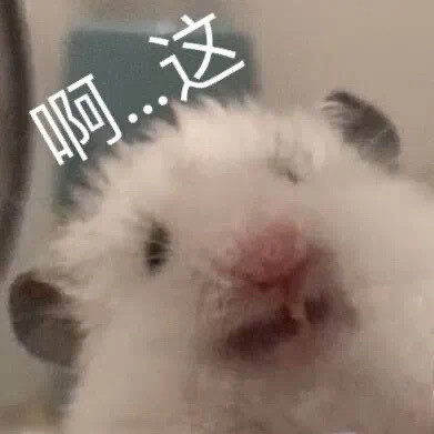 仓鼠表情包合集来啦，斗图用它准没错