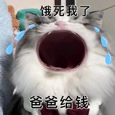 爸宝大嘴猫表情包来了 聊天斗图用得上