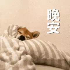 超治愈！狗狗晚安聊天表情包合集