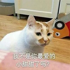 成都小甜甜表情包在哪找？这个网站给你配齐了