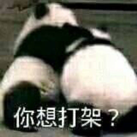 圆滚滚熊猫表情包来啦！聊天斗图直接用