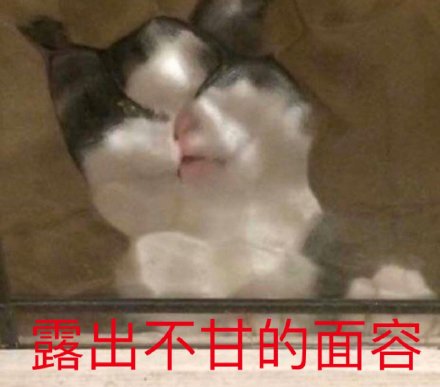 铲屎官看过来！这套喵星人沙雕表情包直接戳中笑点