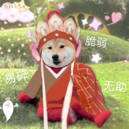 柴犬版西游记表情包来啦