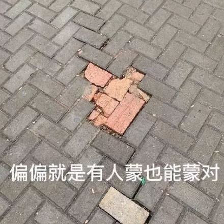 考场上你和同学的做题差距都在这组表情包里了