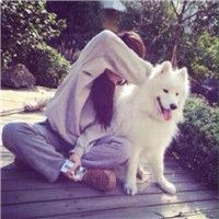 女生带宠物的有爱头像合集 一共18张好看的图