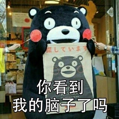 谁见过我男朋友？这套熊本熊寻人表情包火了