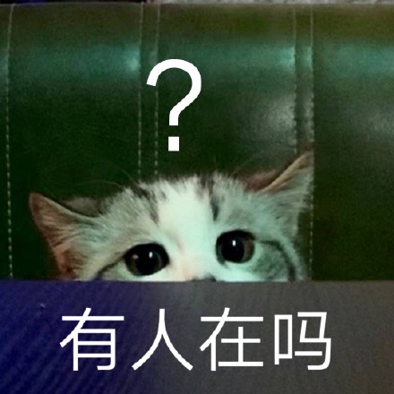 猫咪斗图表情包合集 喵星人来救场啦