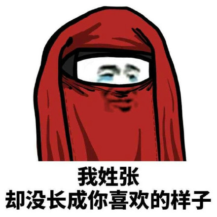 火遍聊天框的姓氏梗表情包！我姓系列全套来了