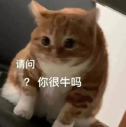 聊天斗图必备！猫猫狗狗表情包合集