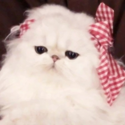 36张可爱女生闺蜜头像合集 高清好看直接用