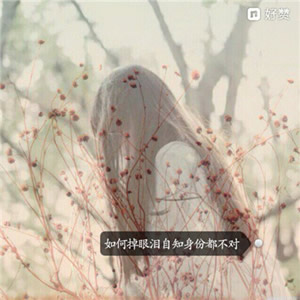 找微信头像？这里有12张带字伤感女生背影图