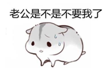 老婆撩老公专属表情包来啦