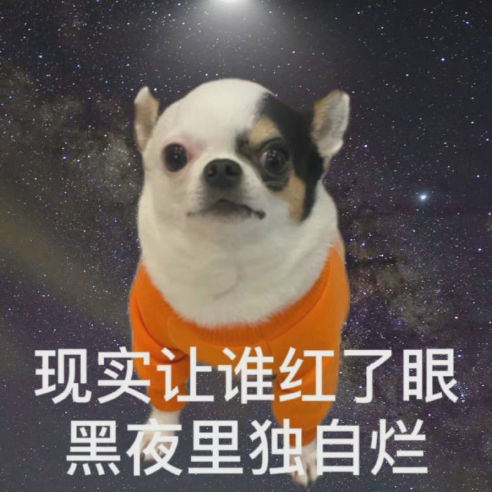 摸鱼必备！摆烂小狗表情包合集