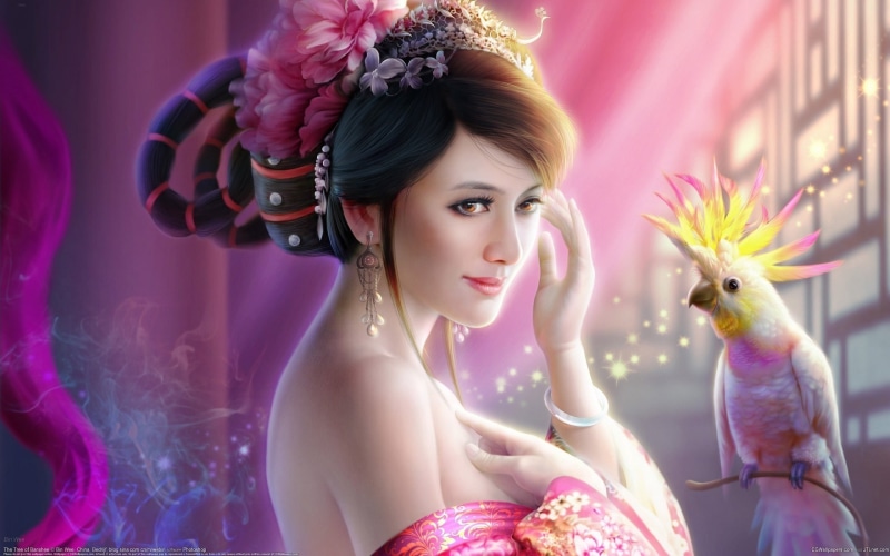 黑发少女与鹦鹉的幻想风壁纸合辑