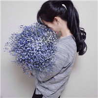 21张唯美拿花女生头像合集 鲜花女孩头像素材大全