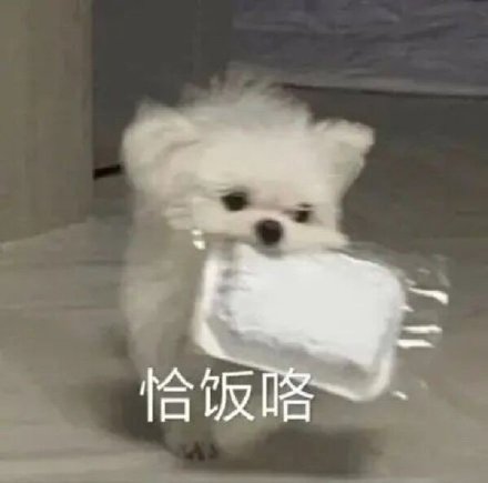 1月10日斗图表情包合集来了