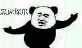 “在下功夫熊猫，请指教