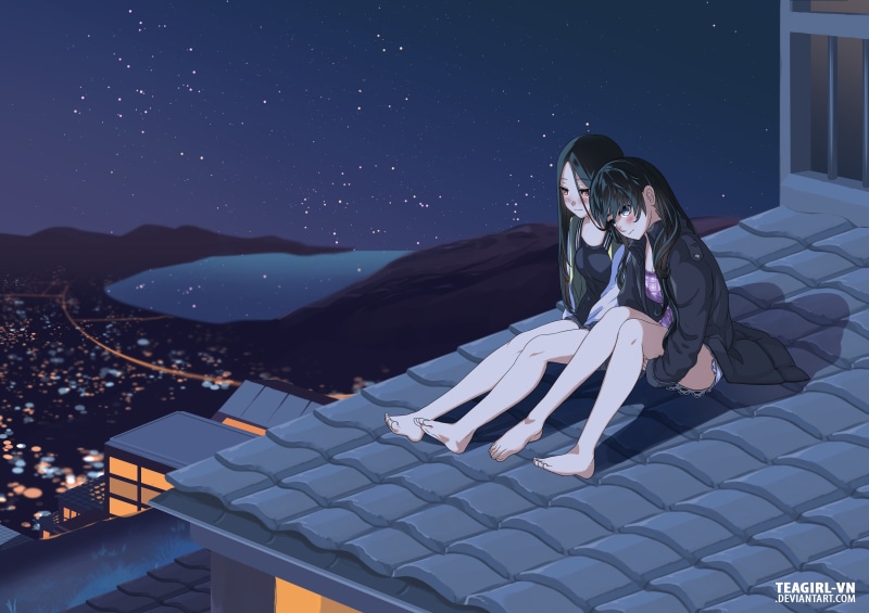 深夜屋顶的少女与星空 百合风动漫壁纸