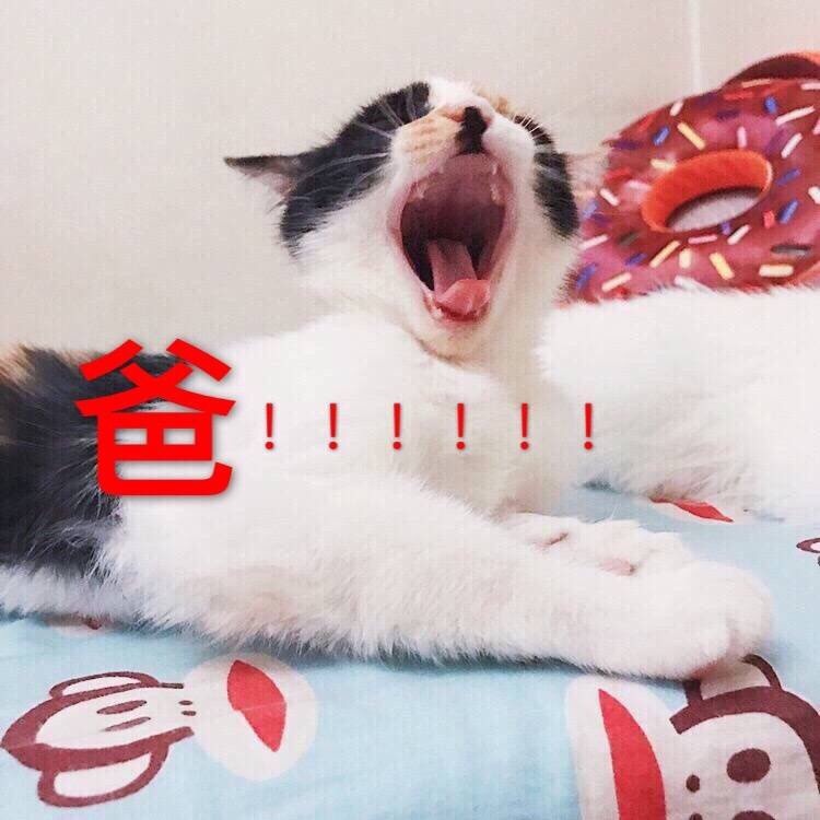 父亲节专属表情包上新啦