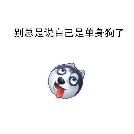 别总说自己是单身狗啦