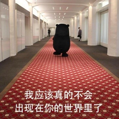 熊本熊版恋爱关系表白表情包来啦