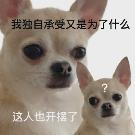 摸鱼必备！摆烂小狗表情包合集