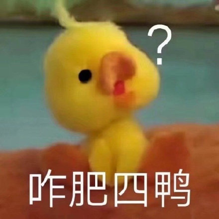 火出圈的咋肥四鸭小黄鸭表情包来啦